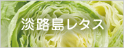 淡路島レタス