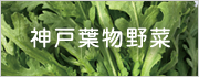 葉物野菜